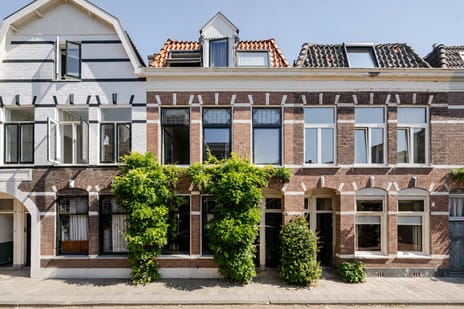 Schneevoogtstraat thumbnail