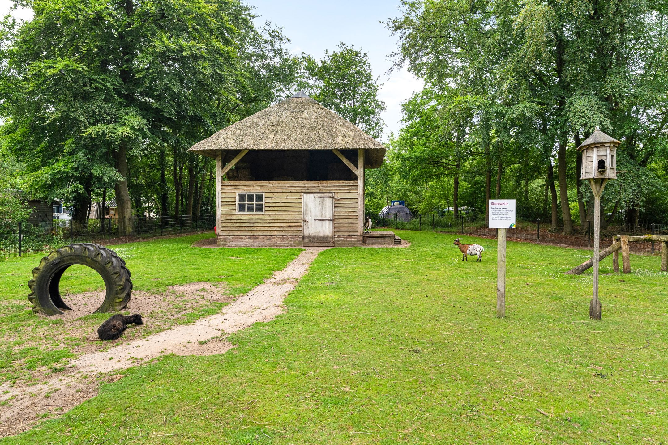 Photo 33 of Duerswâldmer Wei 11-32
