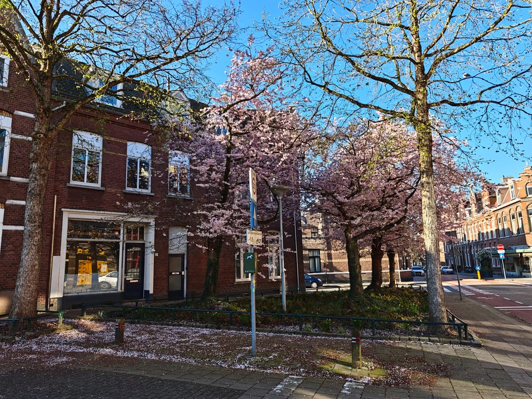 Foto 1 van Herungerstraat 2