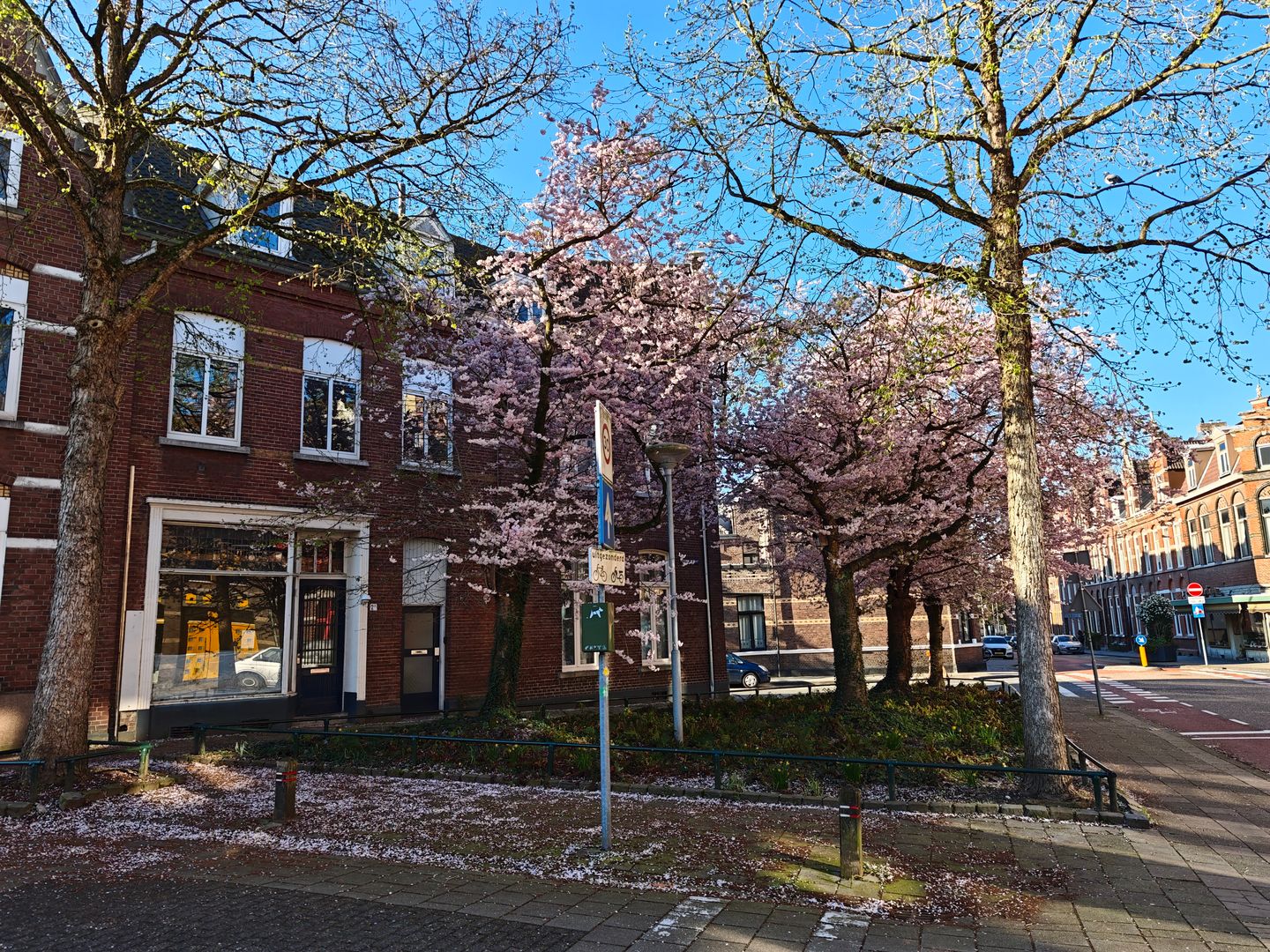 Foto 1 van Herungerstraat 2