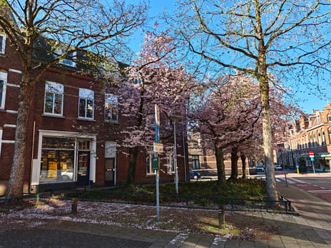 Herungerstraat thumbnail