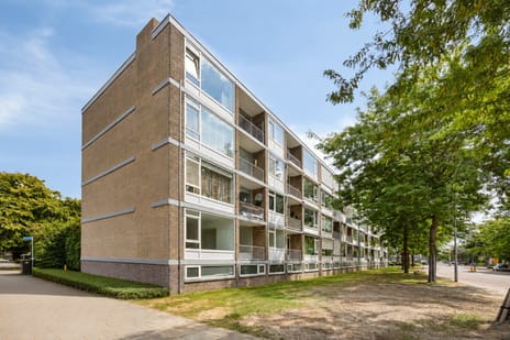 Rijnstraat thumbnail