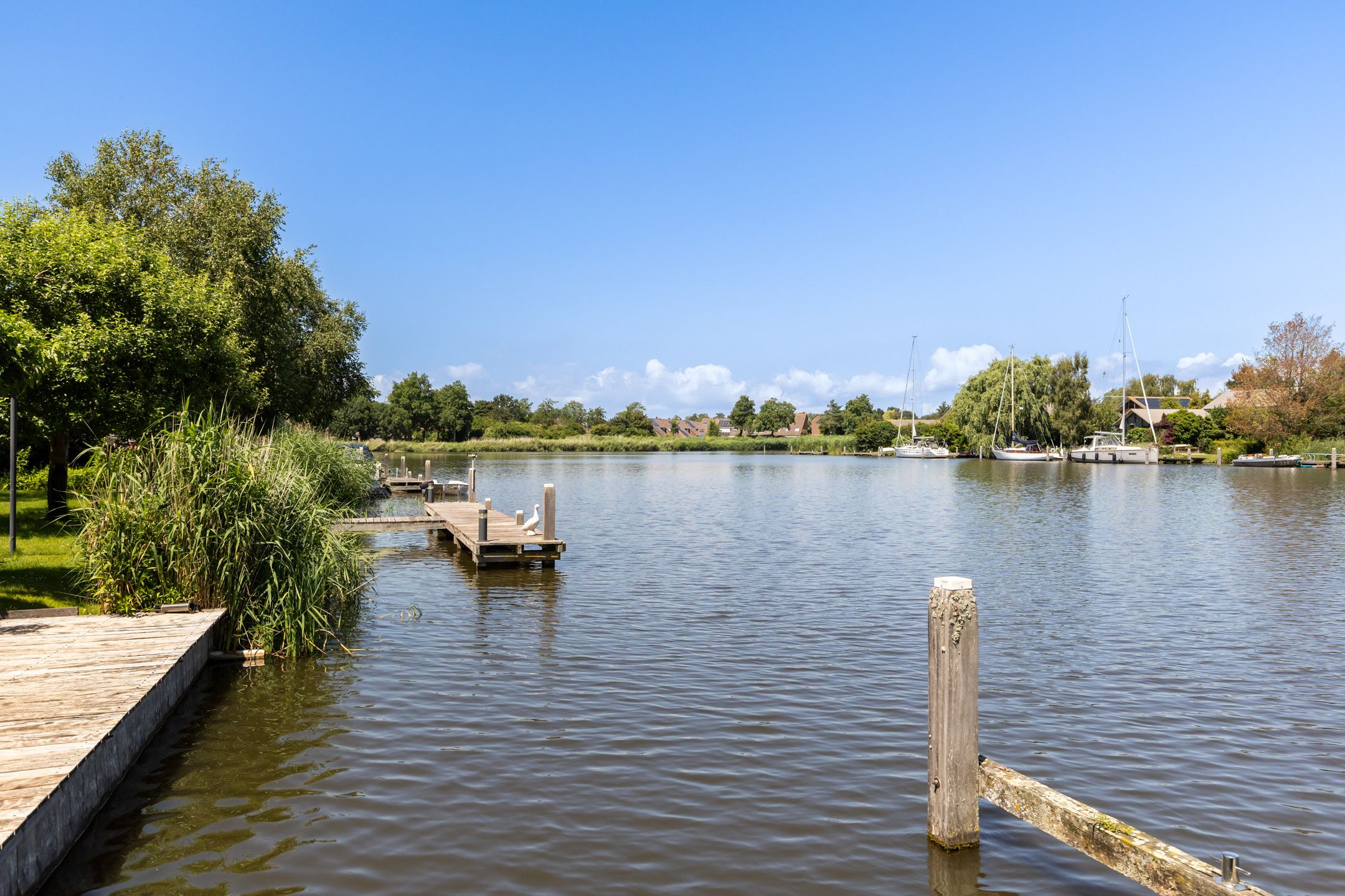 Photo 48 of Hollandse Hout 260