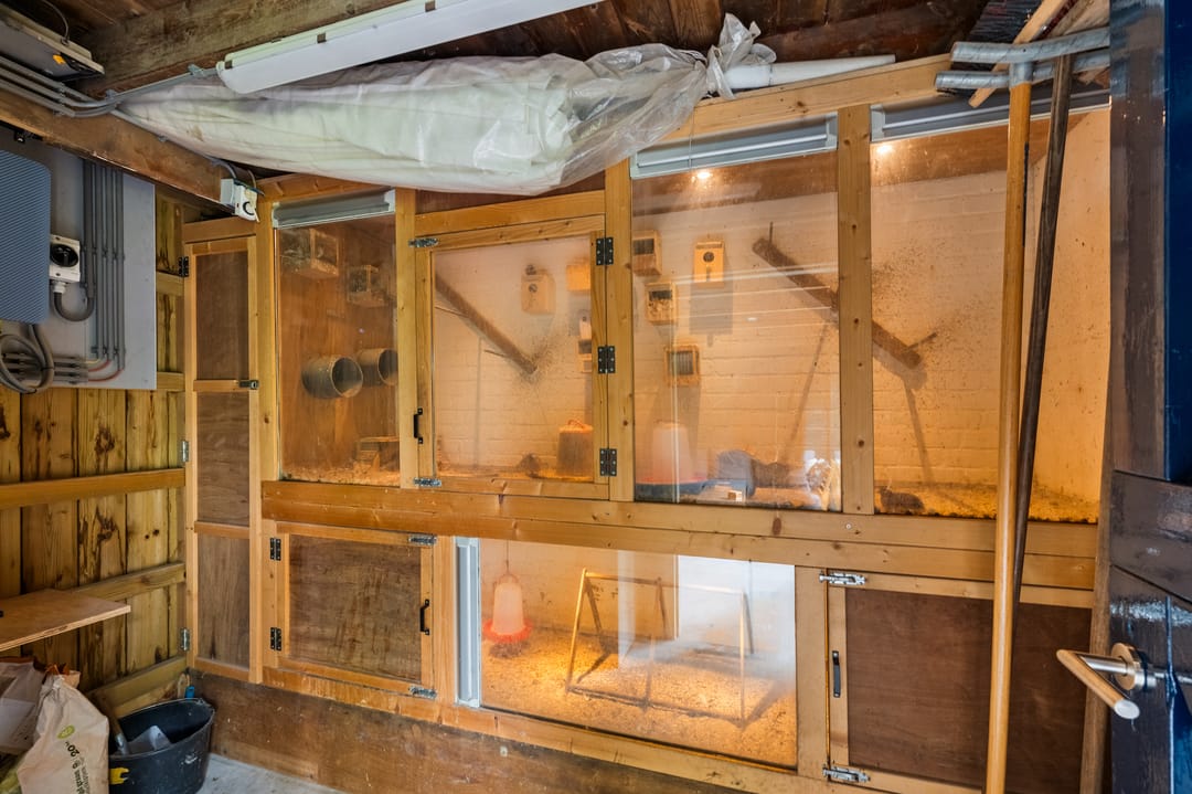 Foto 52 van De Grutto 29