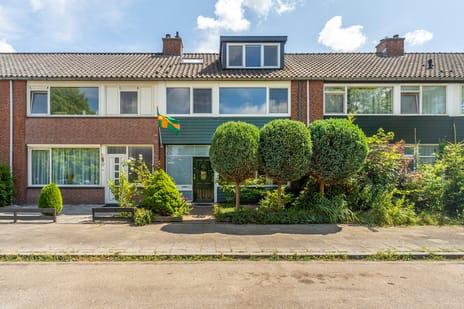 Polkastraat thumbnail