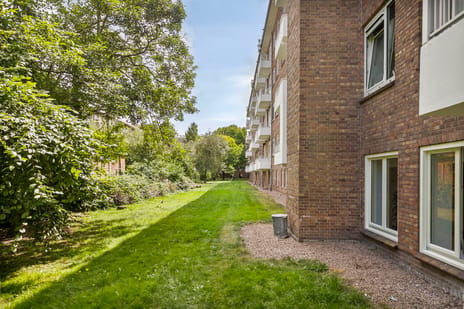 Sara Burgerhartstraat thumbnail