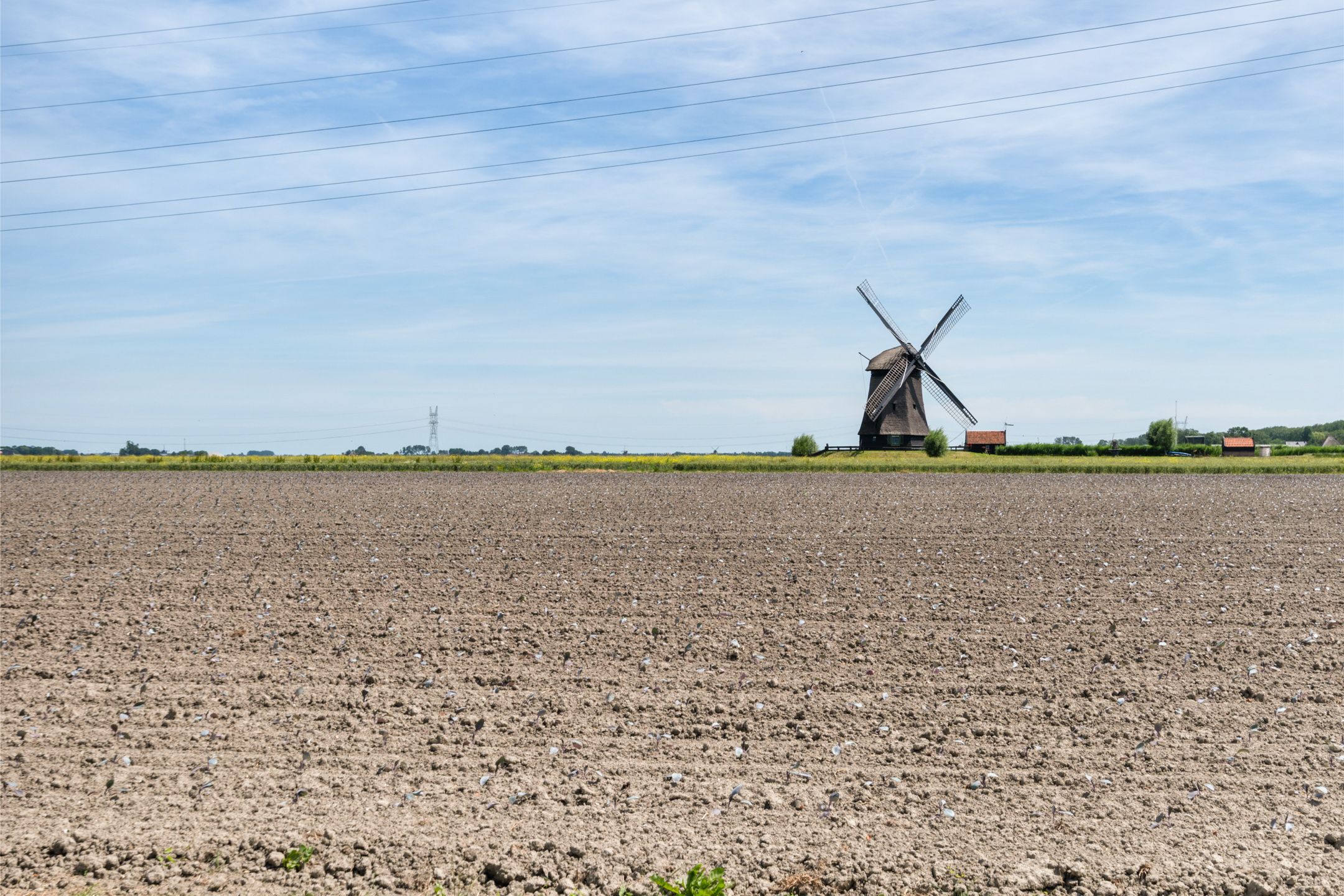 Photo 57 of Binnenkruier 24