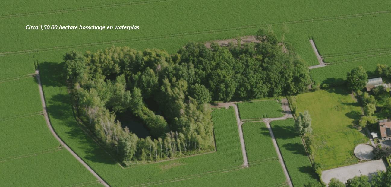 Nederweertseweg - Someren - Afbeelding 5