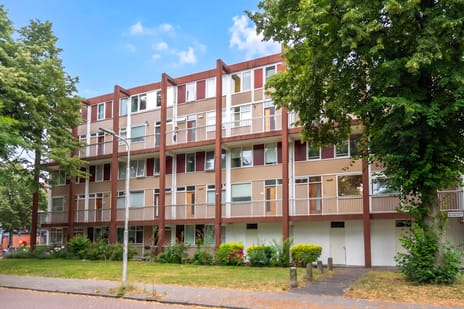 Zilverschoonplein thumbnail