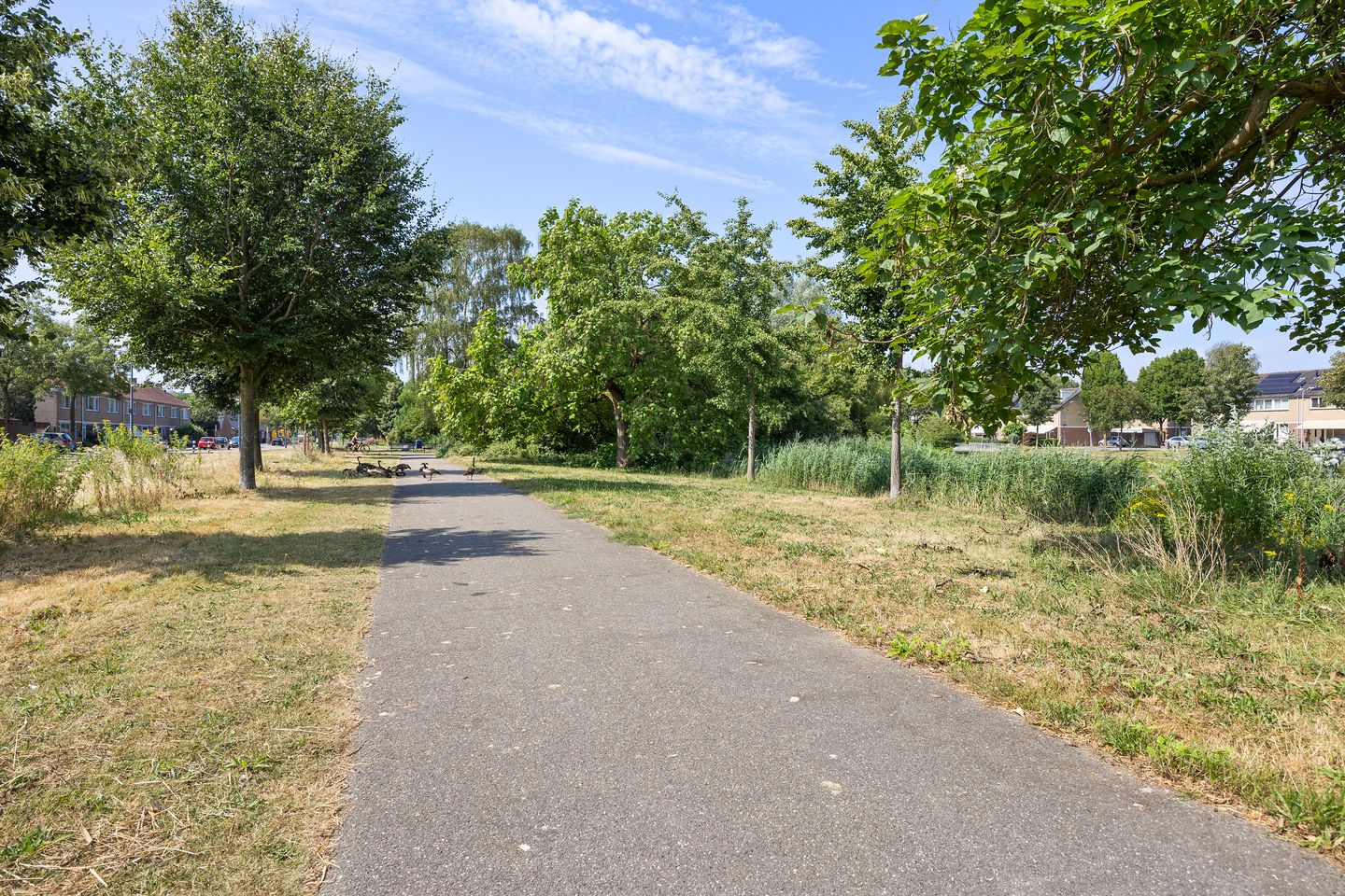 Foto 50 van Commissaris Van Voorst tot Voorstlaan 10