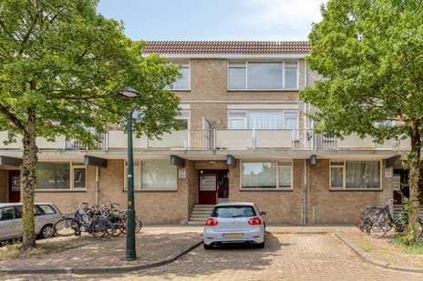 Esdoornstraat thumbnail