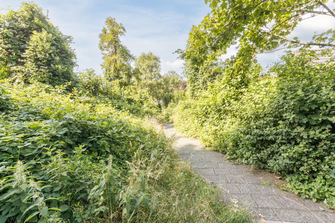 Photo 53 of Evert Reddersland 19