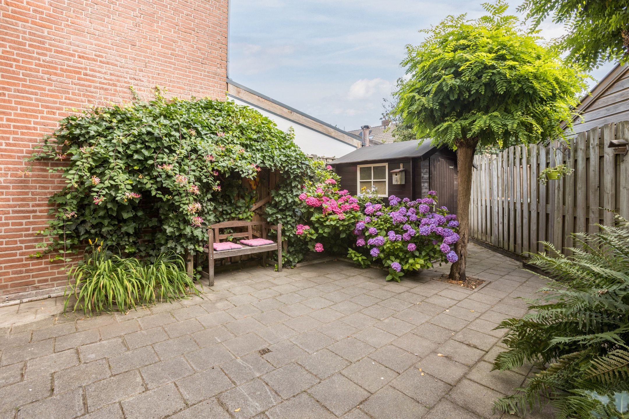Photo 42 of Evert Reddersland 19