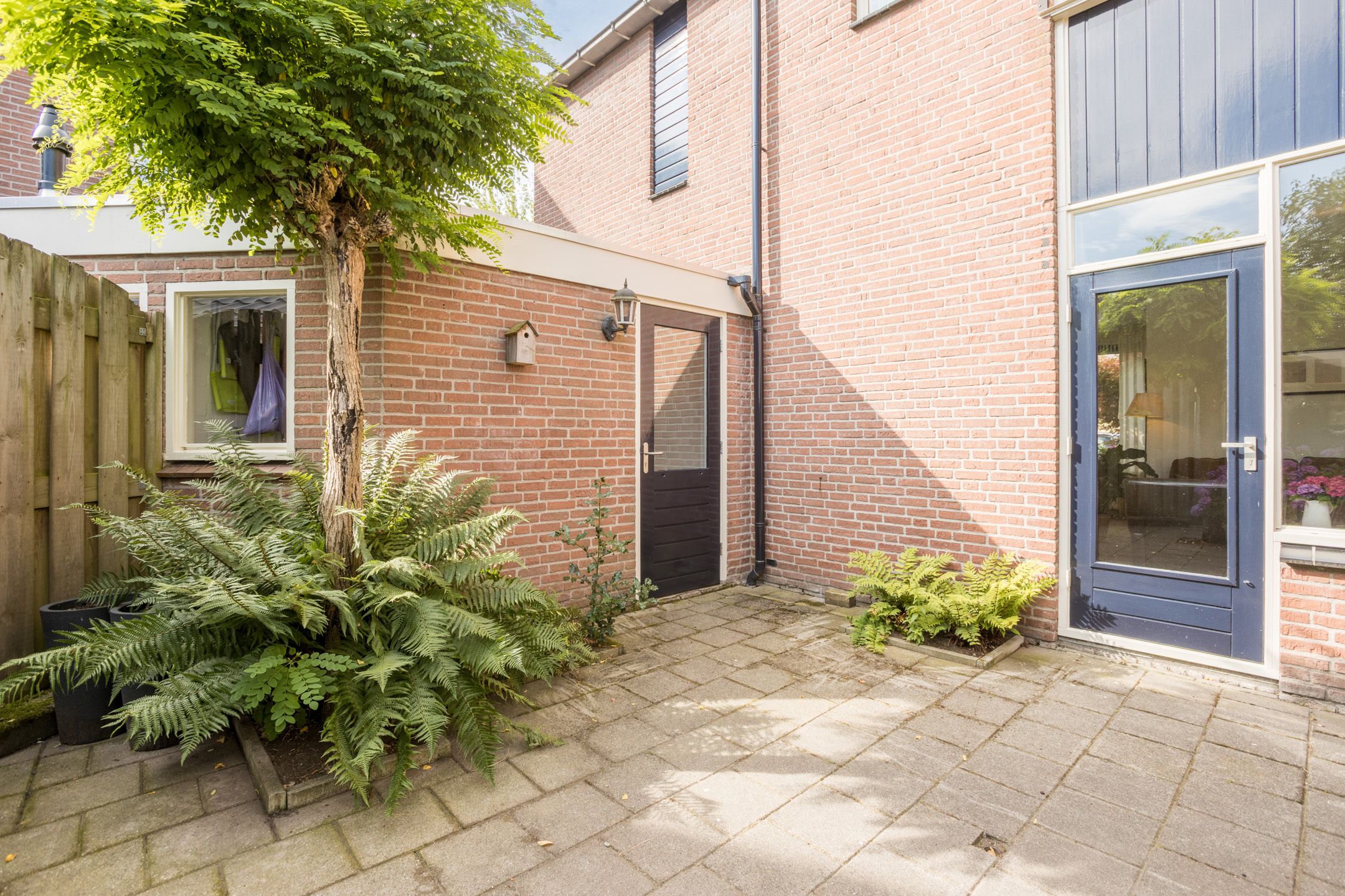 Photo 45 of Evert Reddersland 19