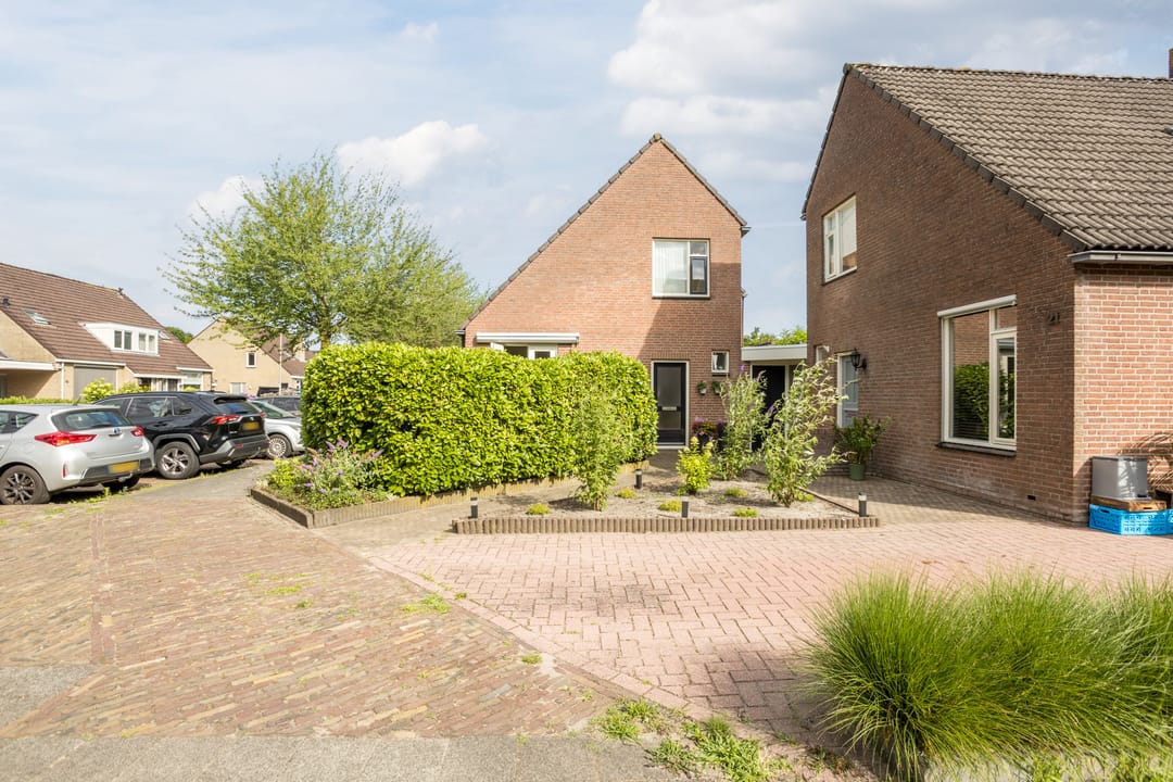 Photo 7 of Evert Reddersland 19