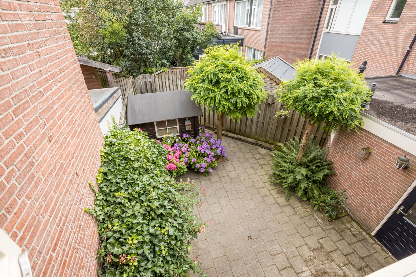 Photo 40 of Evert Reddersland 19