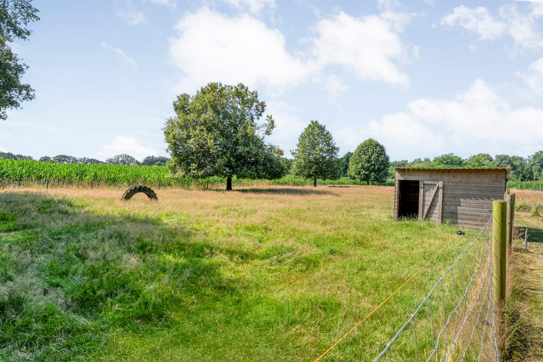 Photo 76 of Molenlaan 4