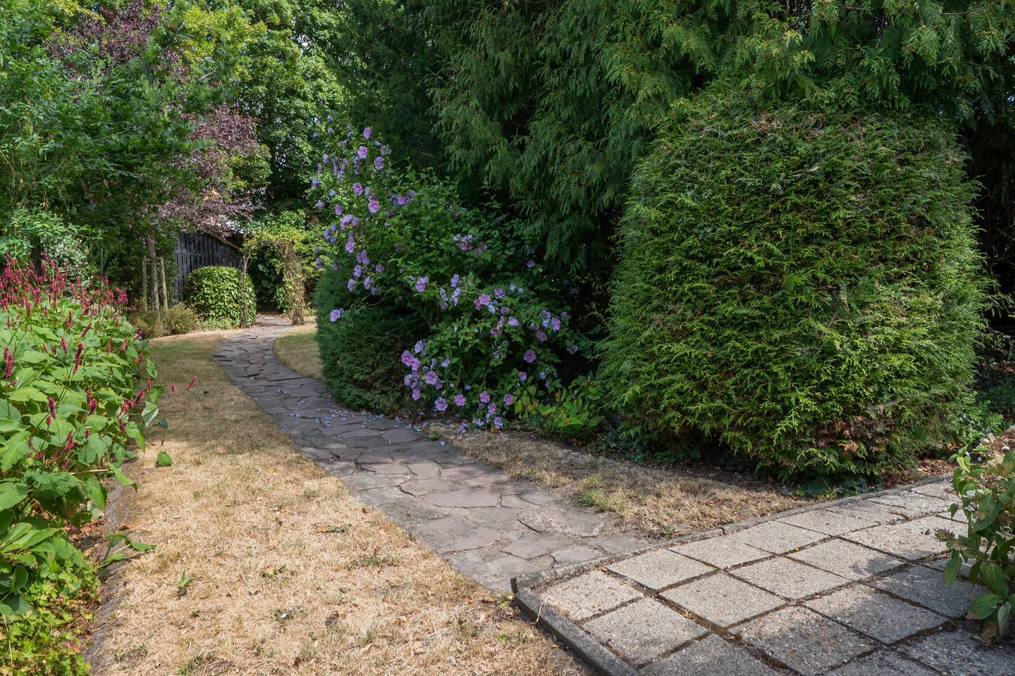 Photo 57 of Patijnweg 28