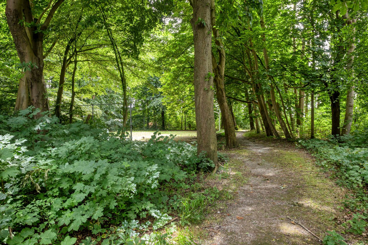 Foto 44 van de Kogge 12