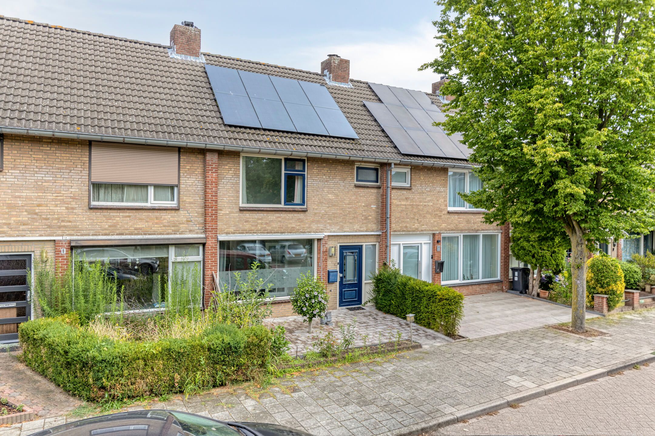 Adelaertstraat 37 
