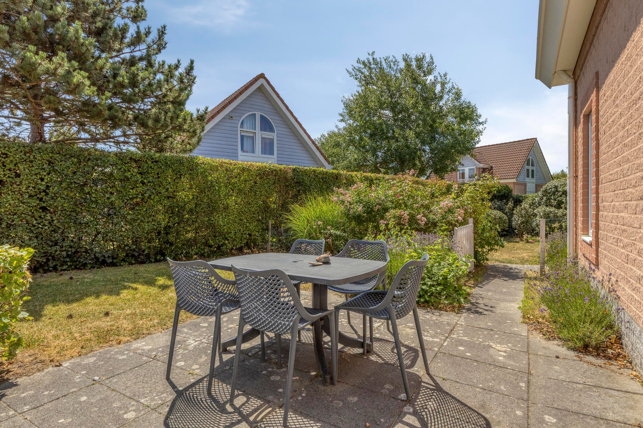 Photo 24 of Duinen 5