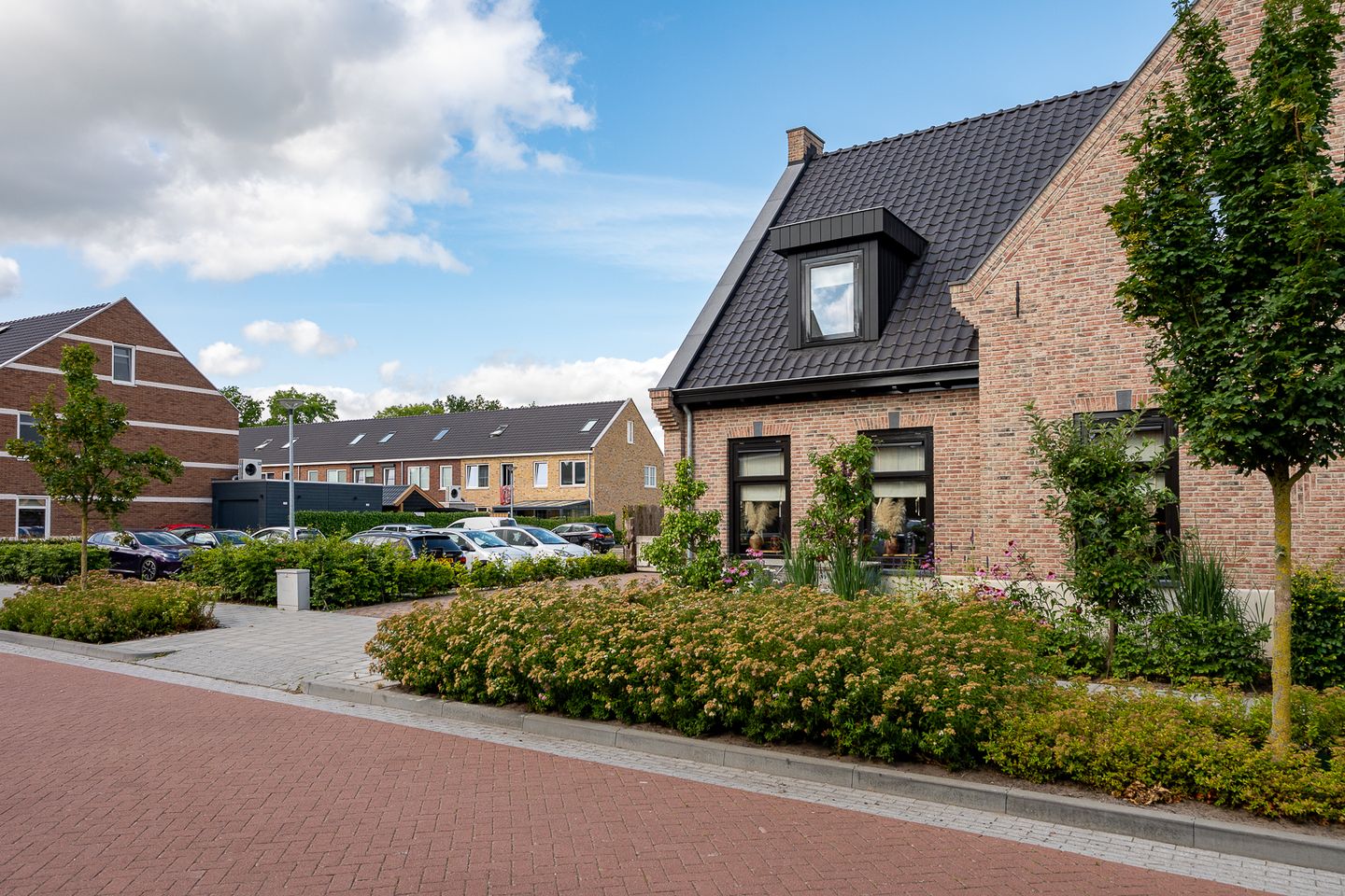 Foto 5 van Gerrit Blaauwerve 4