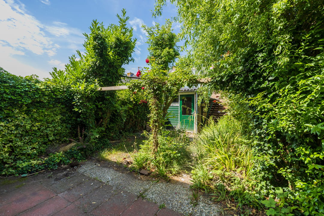 Photo 11 of Mauritsplantsoen 23