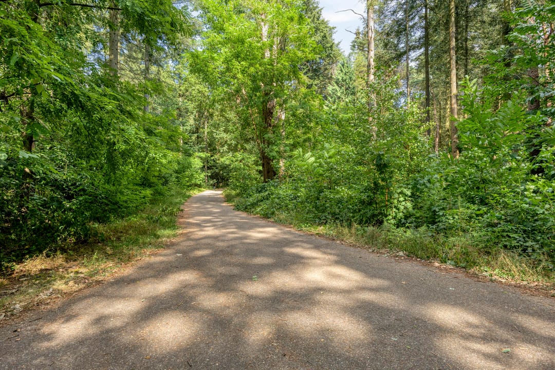 Foto 46 van Zwartvenseweg 51