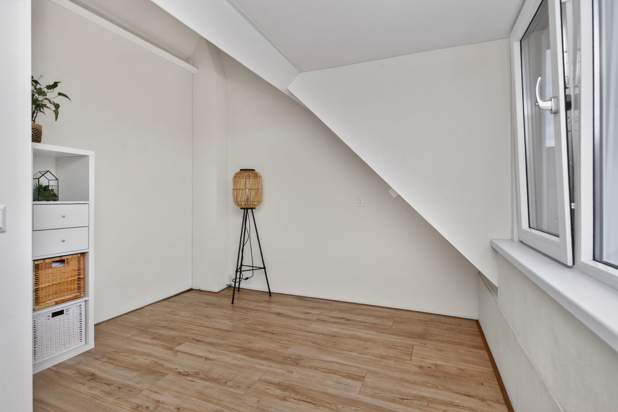 Photo 30 of Zilverfazant 13