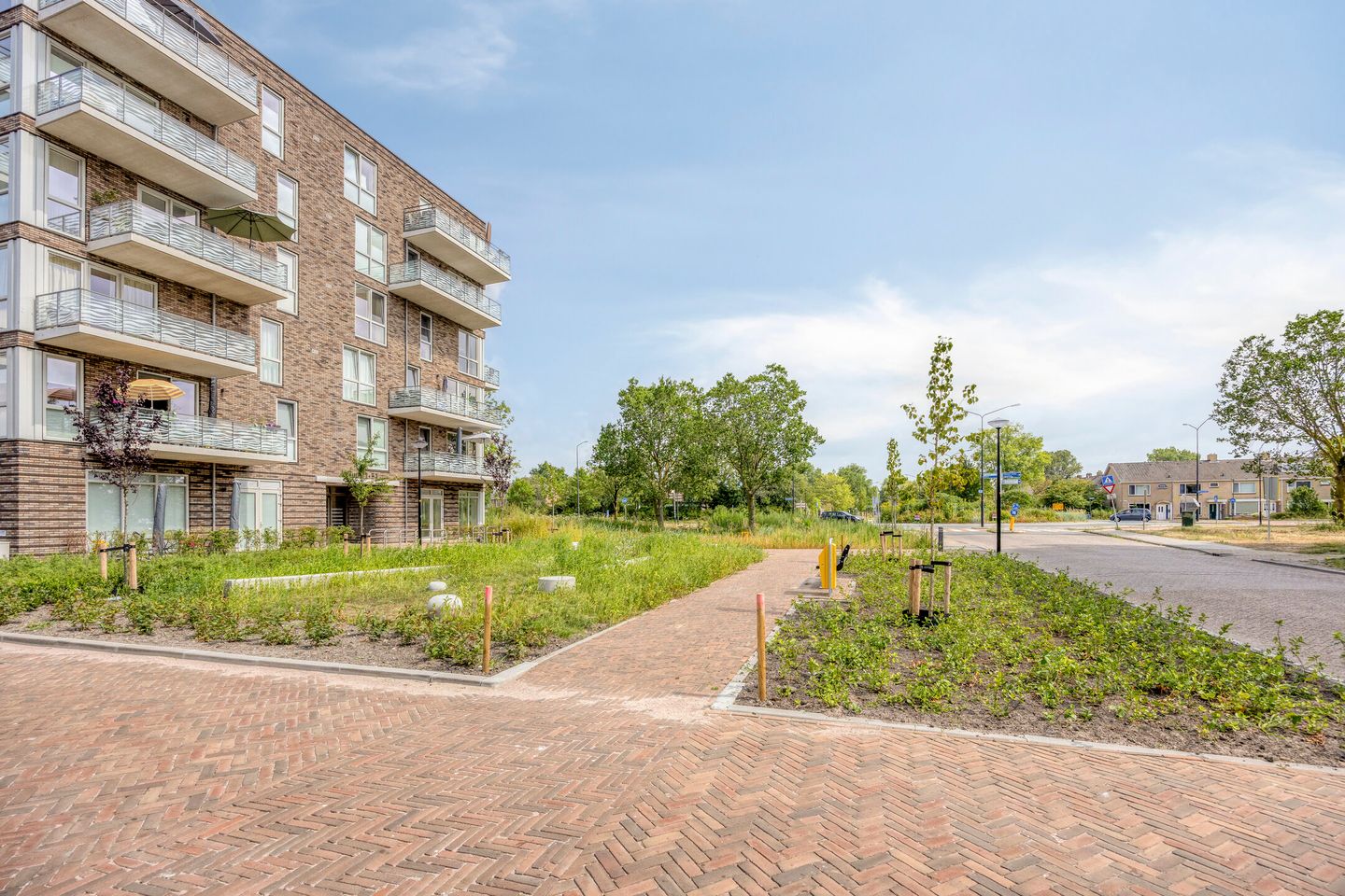 Foto 20 van Mimas 16