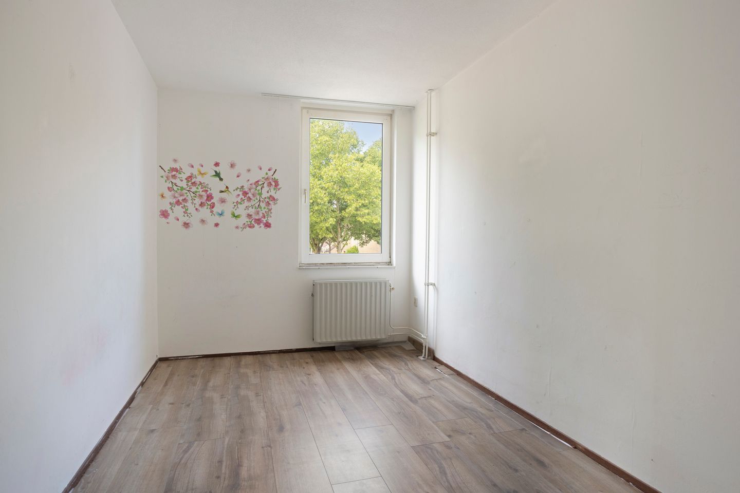 Photo 25 of Kouwerve 1