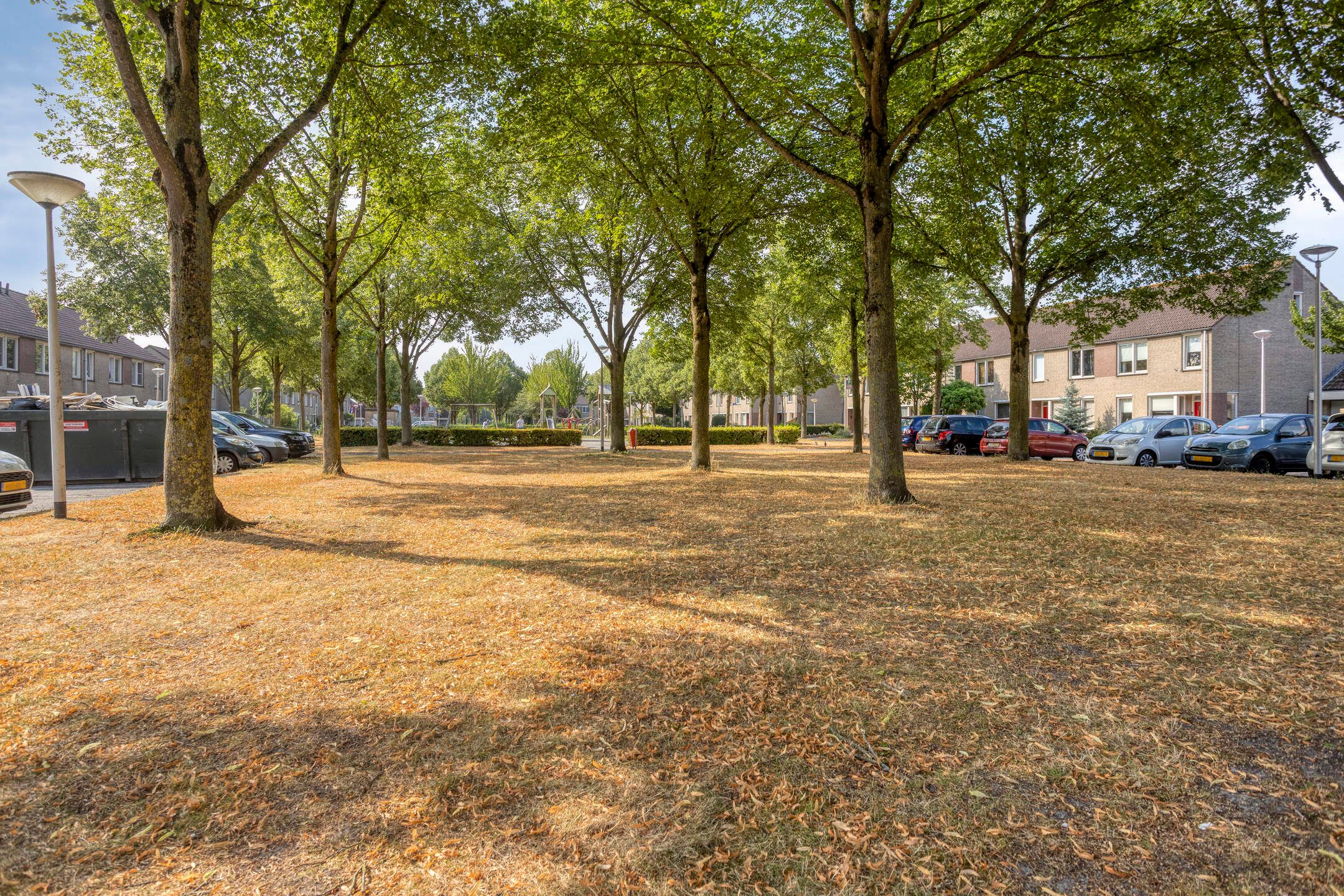 Photo 33 of Kouwerve 1