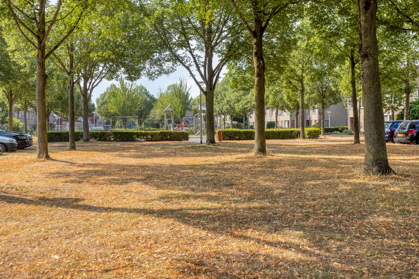Photo 34 of Kouwerve 1