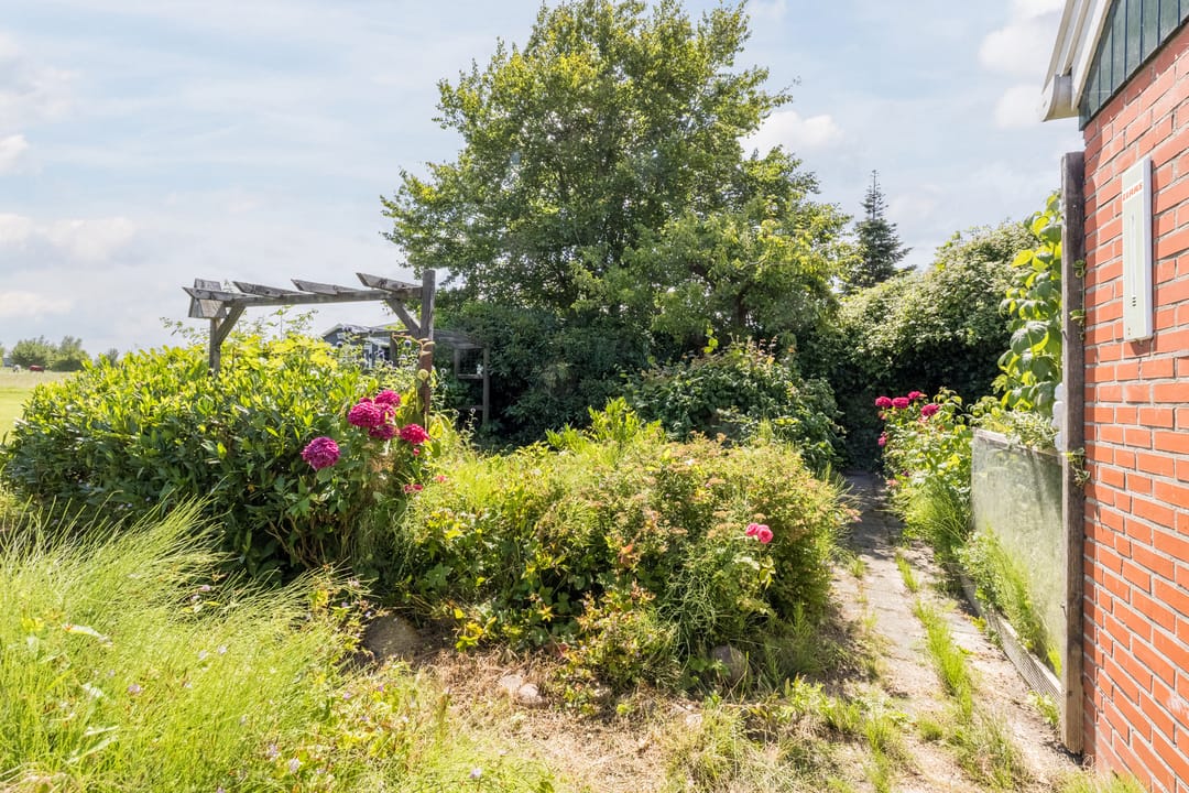 Photo 61 of Singel 51