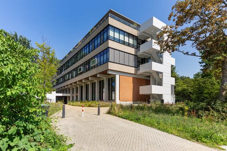 Van Schendelstraat thumbnail