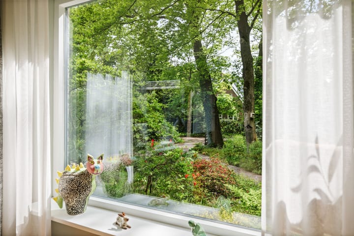 Vrijstaande woning te koop: Hagedisweg 18, Epe