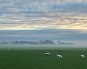 Foto 59 van Dijksweg 5
