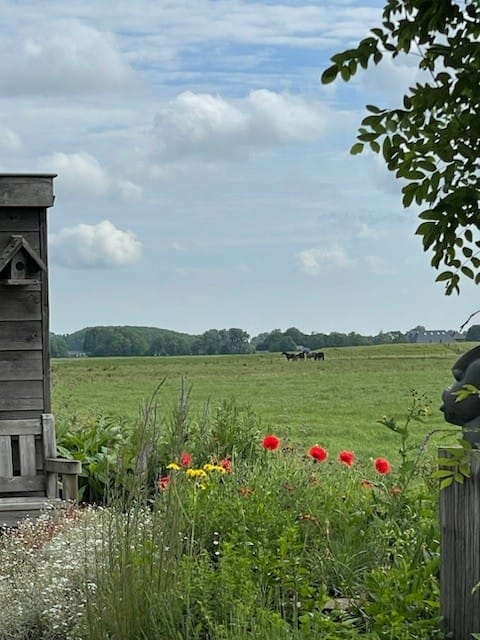 Foto 50 van Dijksweg 5