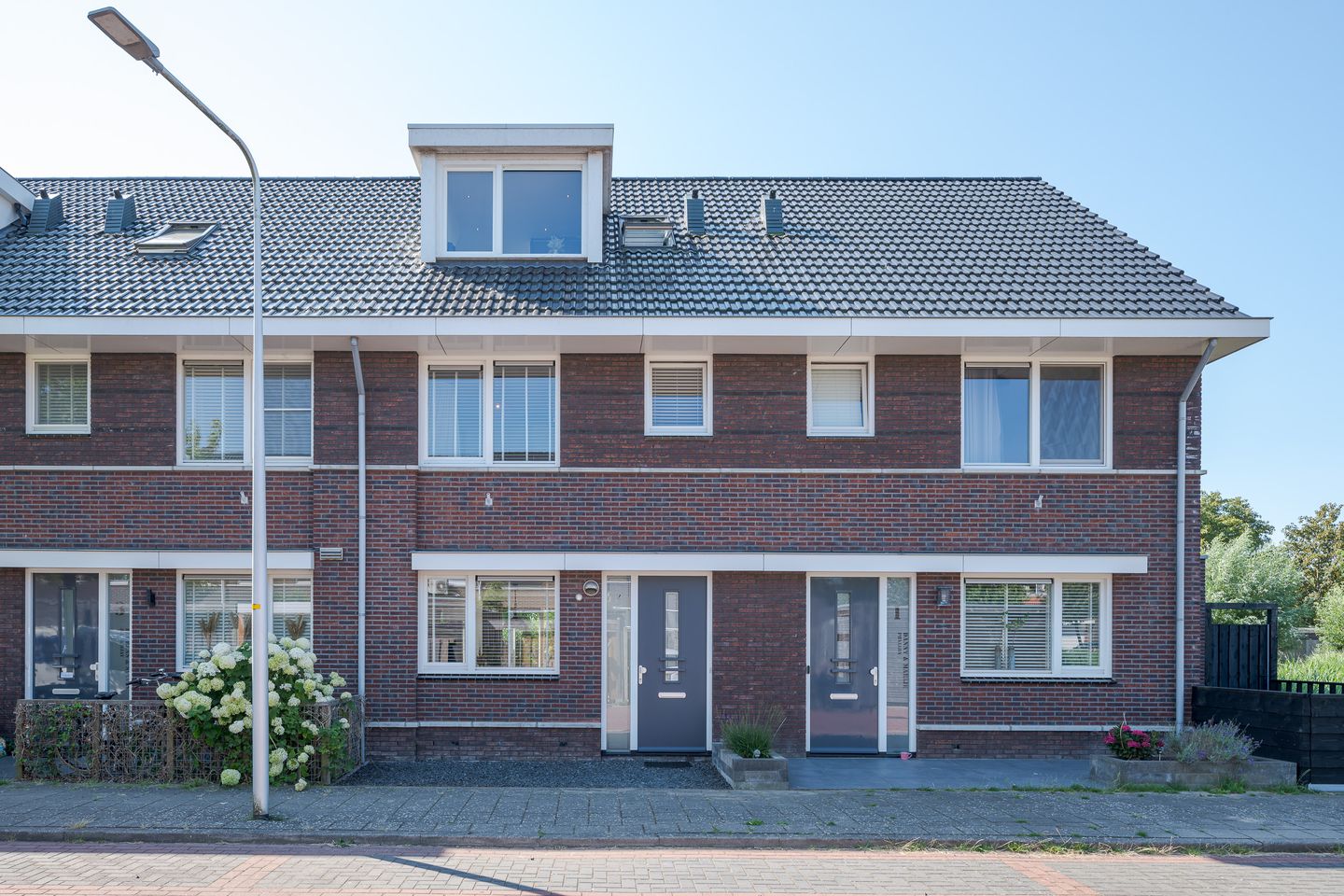 Foto 1 van Aalscholver 2