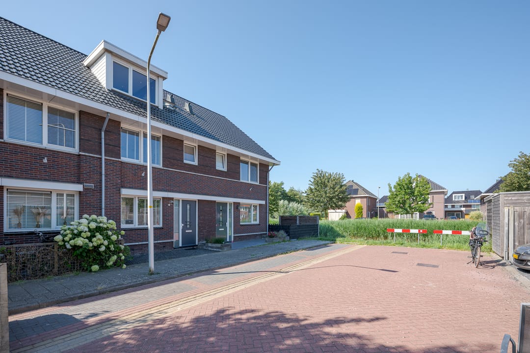 Foto 2 van Aalscholver 2