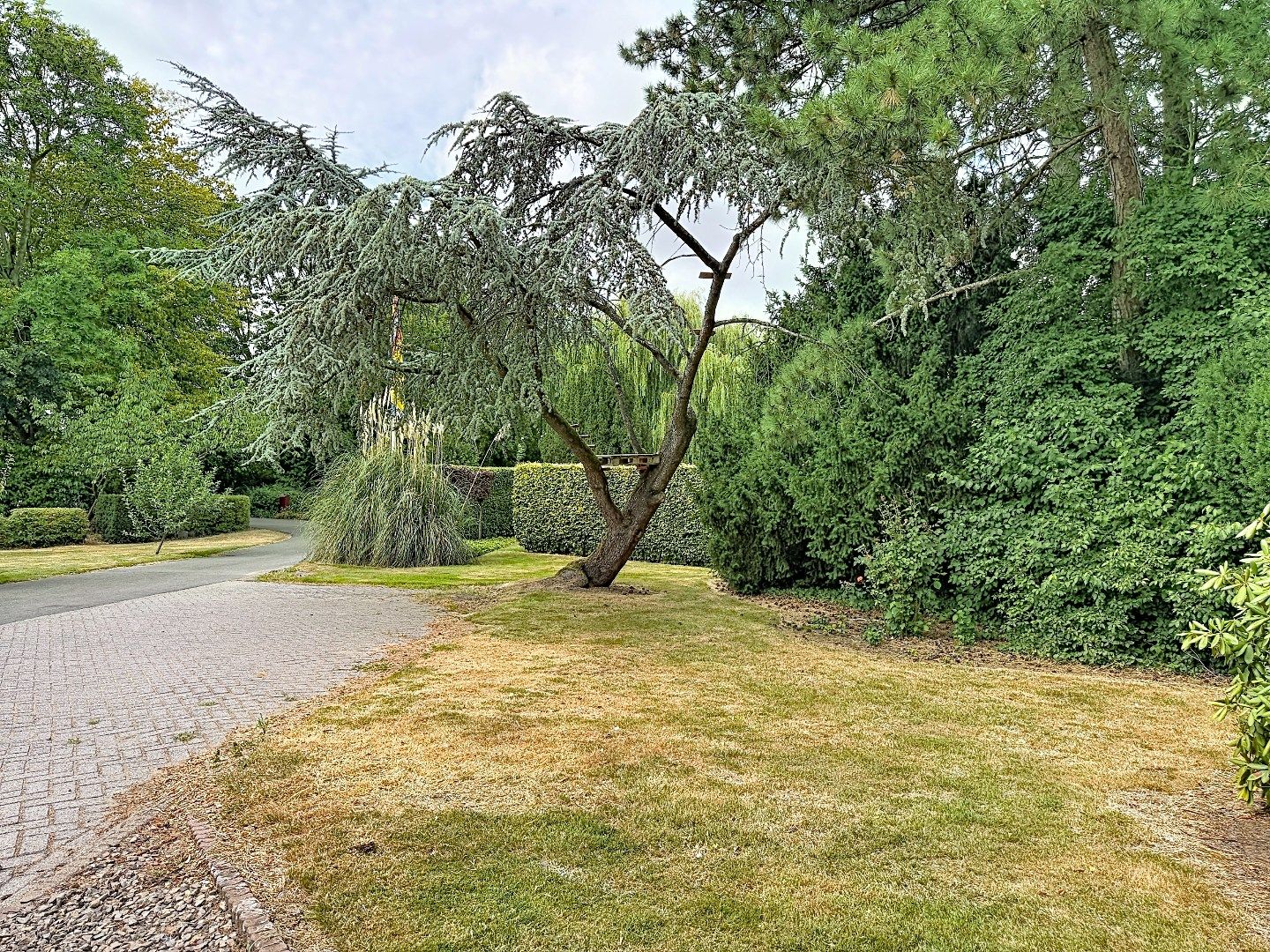 Foto 45 van Eedeweg 19