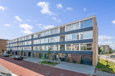 Zonnebloemstraat thumbnail