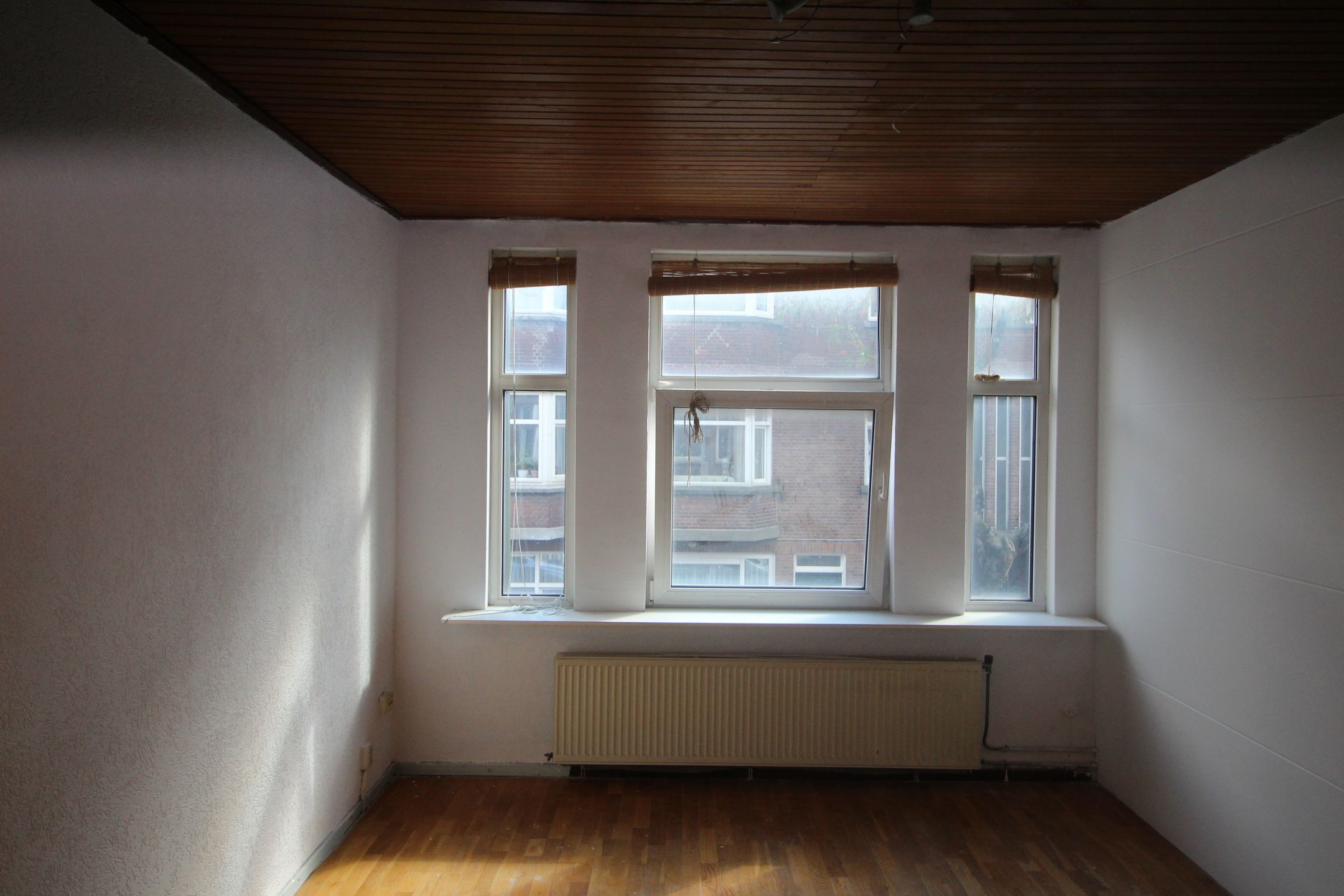 Foto 3 van Drijfriemstraat 11