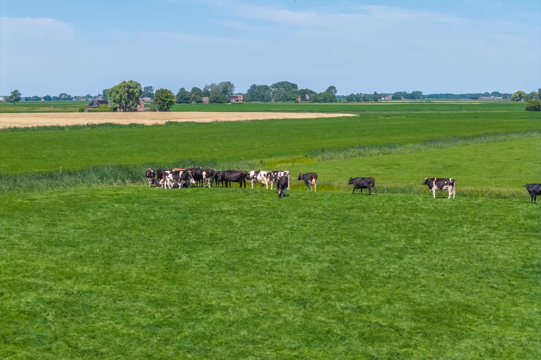 Foto 47 van Sietse Veldstraweg 50