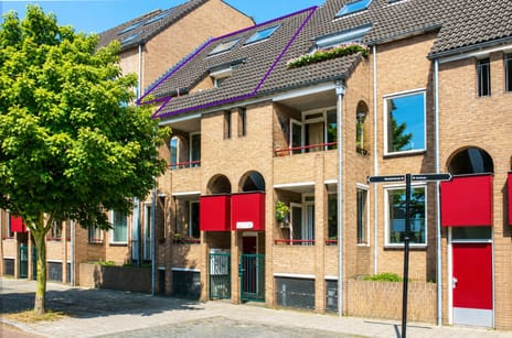 De Gouden Leeuw thumbnail