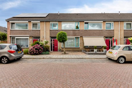Dasstraat thumbnail