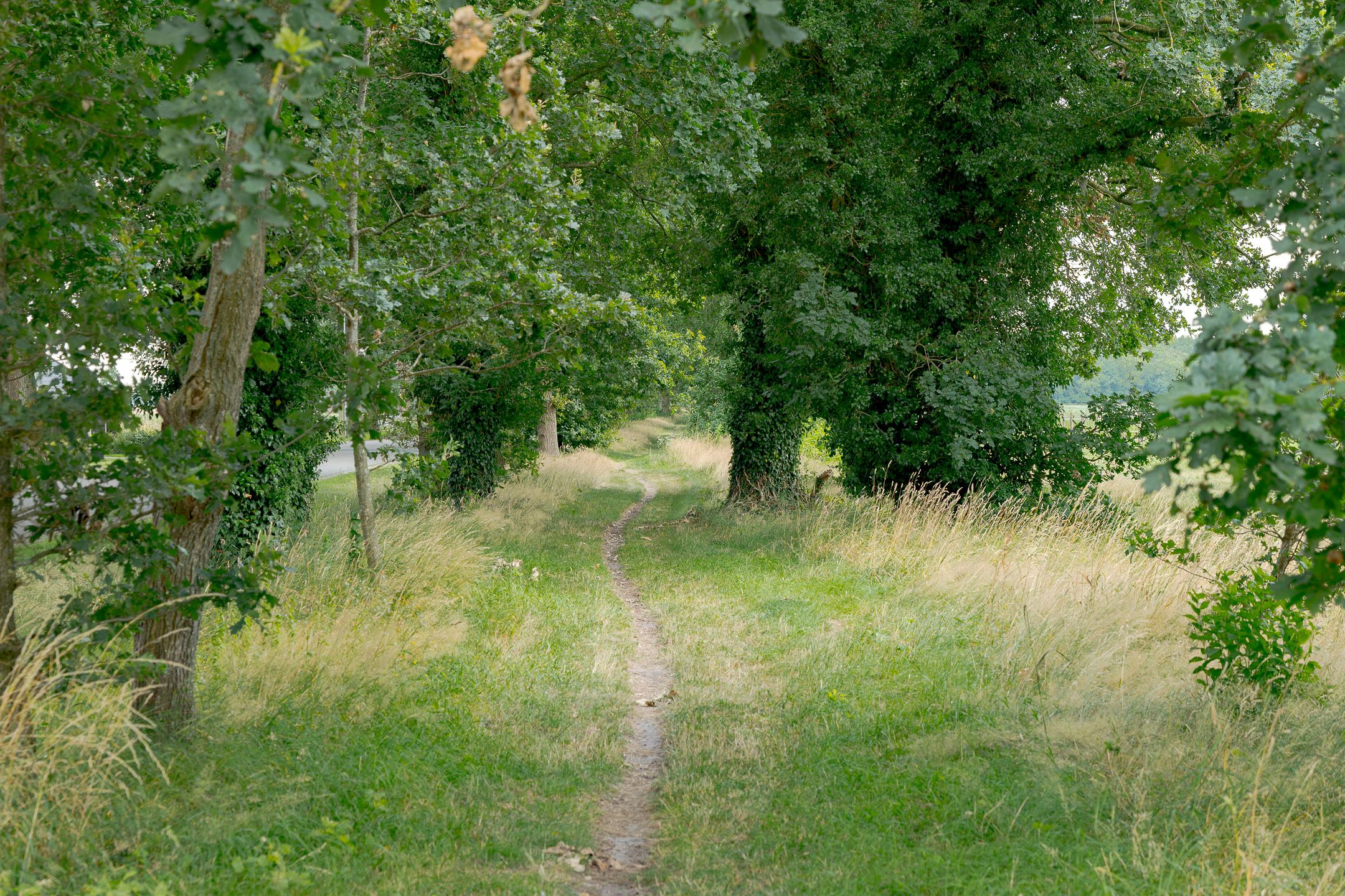 Photo 6 of Exloërweg 9