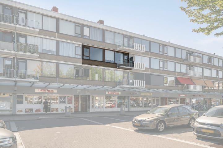 Foto 4 van dr. Wiardi Beckmansingel 103