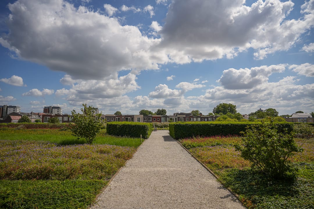 Photo 38 of De Kranshof 202