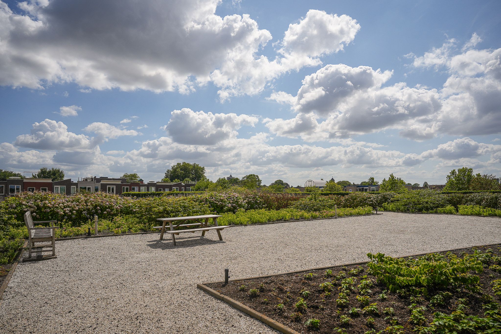 Photo 39 of De Kranshof 202